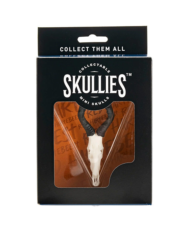 SKULLIES Miniature Hartebeest Skull 