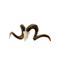 SKULLIES Miniatur Marco Polo Schädel