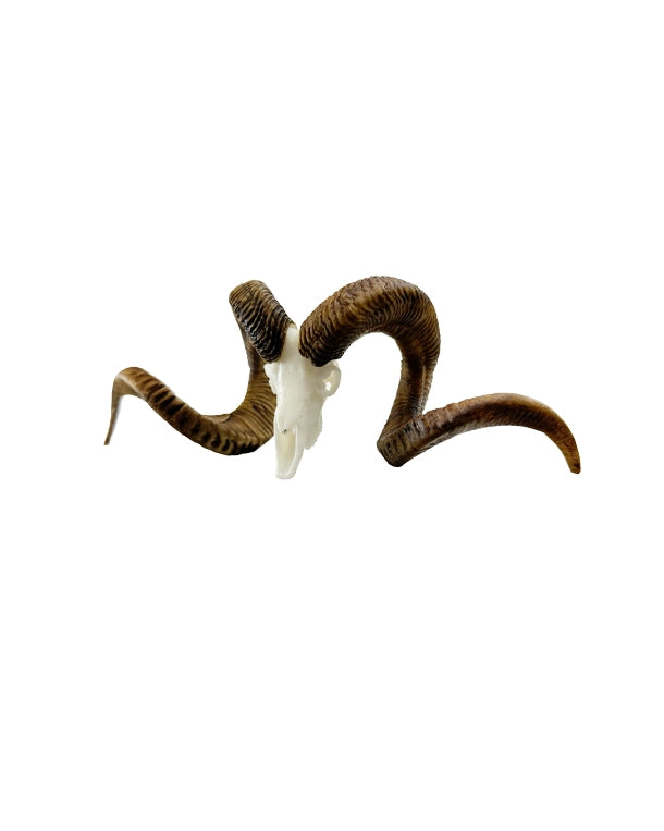 SKULLIES Miniatur Marco Polo Schädel