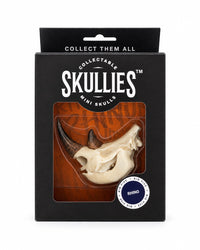 SKULLIES Miniature Rhinoceros Skull