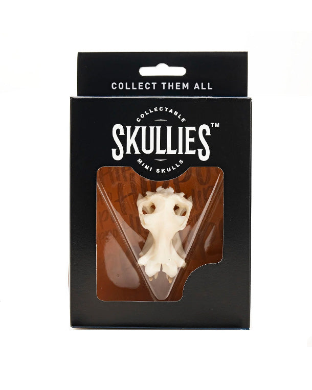 SKULLIES Miniatur Nilpferd Schädel