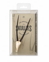 SKULLIES Miniatur-Oryxschädel mit langen schwarzen Hörnern in Draufsicht auf weissem Hintergrund