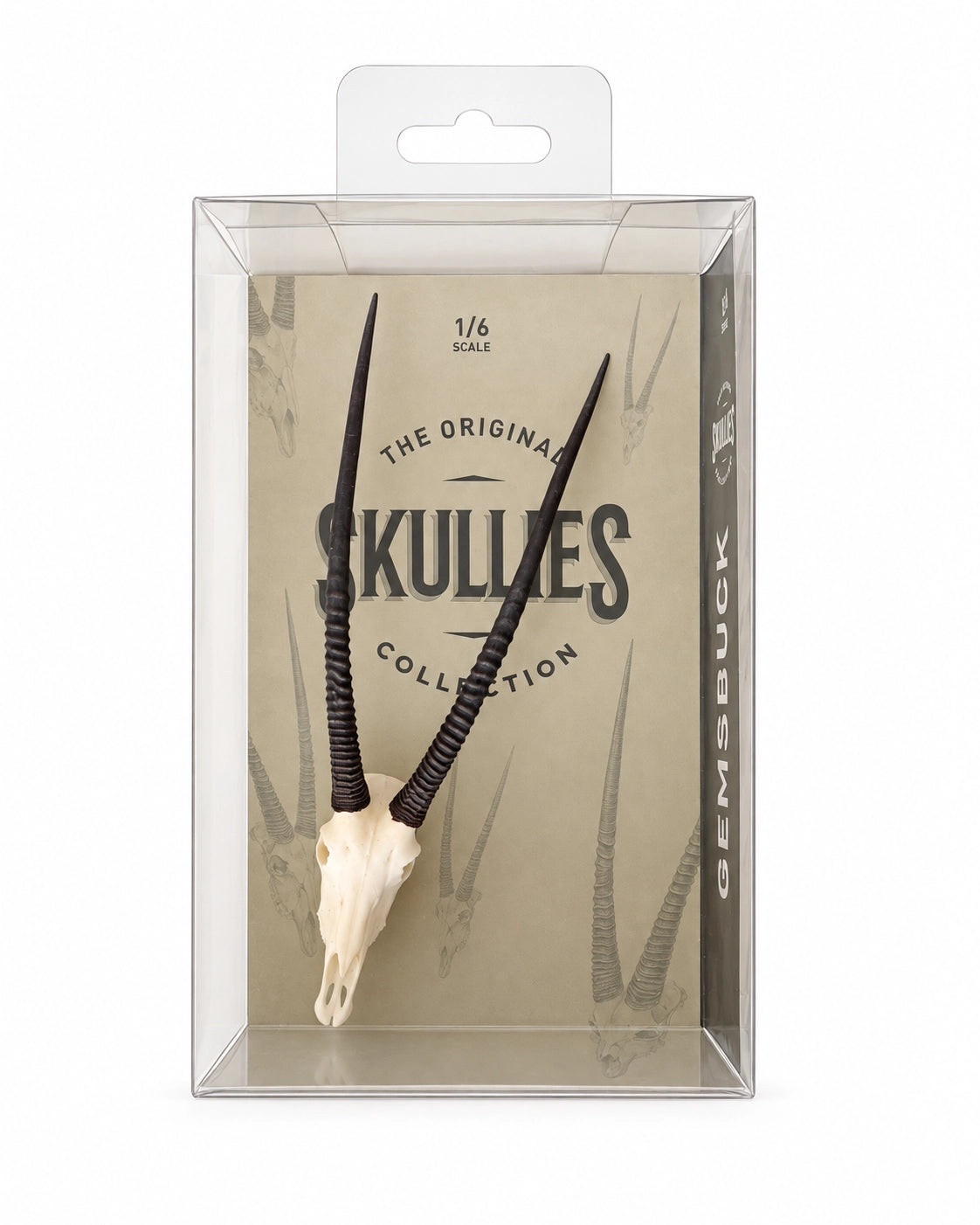SKULLIES Miniatur-Oryxschädel mit langen schwarzen Hörnern in Draufsicht auf weissem Hintergrund