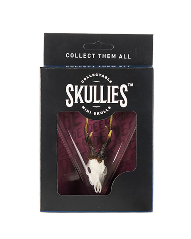 SKULLIES Miniatur Rehbock Schädel