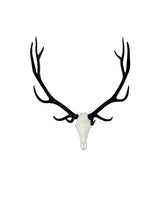 SKULLIES Miniatur Wapiti Schädel