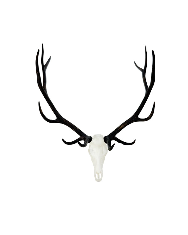 SKULLIES Miniatur Wapiti Schädel