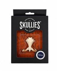 SKULLIES Miniatur Warzenschwein Schädel