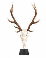Metall-Sockel für Hirschschädel, geeignet für Damhirsch und kleinere Rothirsche – dekorativer Ständer in Schwarz.