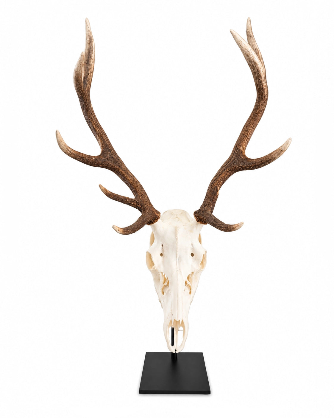 Metall-Sockel für Hirschschädel, geeignet für Damhirsch und kleinere Rothirsche – dekorativer Ständer in Schwarz.