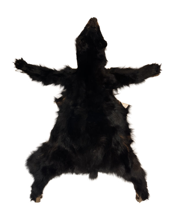 Schwarzbärenfell