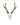 Sikahirsch Geweih kaufen – exklusive Hirschgeweihe und Jagdtrophäen bei SWISSskulls online bestellen
