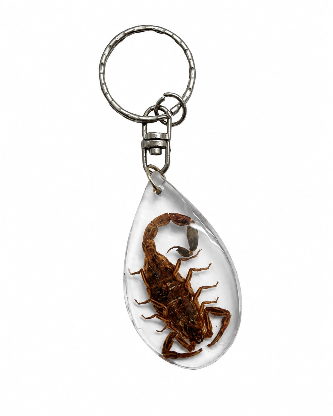 Skorpion Schlüsselanhänger