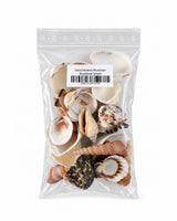 Echter Muschelmix im transparenten Beutel mit Etikett von Skullstore GmbH auf weissem Hintergrund.