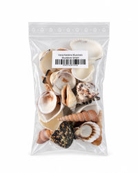 Echter Muschelmix im transparenten Beutel mit Etikett von Skullstore GmbH auf weissem Hintergrund.