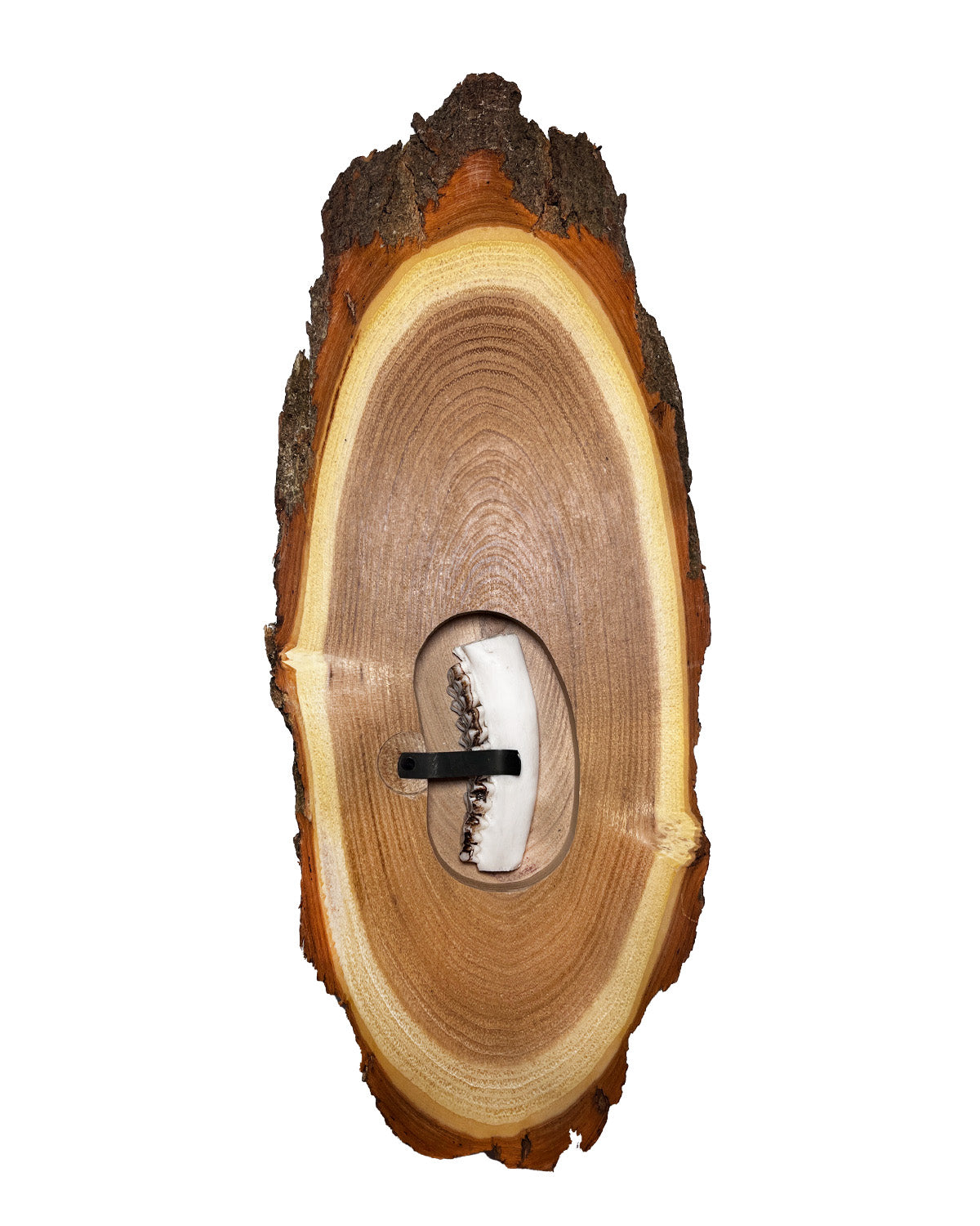 Zusatzleistung Kieferfach