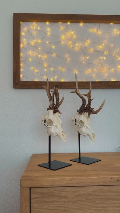 Schädel Sockel kaufen bei SWISSskulls 